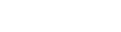 Wisecrete Logo White